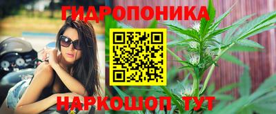 спиды Нарткала