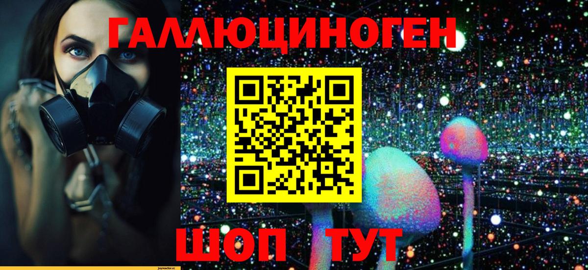 Псилоцибиновые грибы Psilocybe Ханты-Мансийск